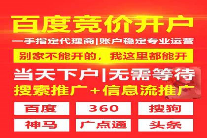 某行业sem代运营推广公司成功案例分析